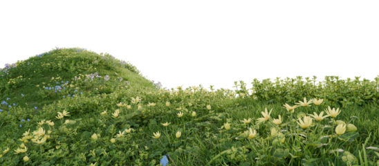 Verdant Hill Blooming with Yellow Flowers in Spring. 3D render.	
