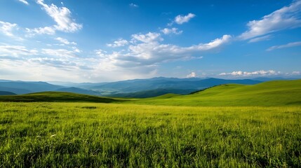 Obraz premium Vast green hills stretching under a bright blue sky with fluffy clouds in a picturesque landscape : Generative AI