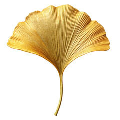 Elegant Ginkgo Leaf on White Background