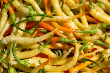 Colorful assortment of fresh chili peppers harvested in a local market during the summer season