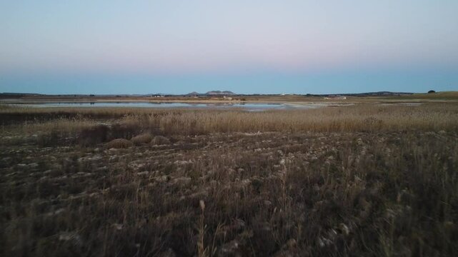 juncos y lago