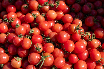 Fresh red cherry tomatoes piled at a local market during sunny midday hours