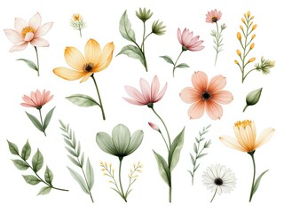 Obraz premium A collection of vibrant floral illustrations in soft pastel tones