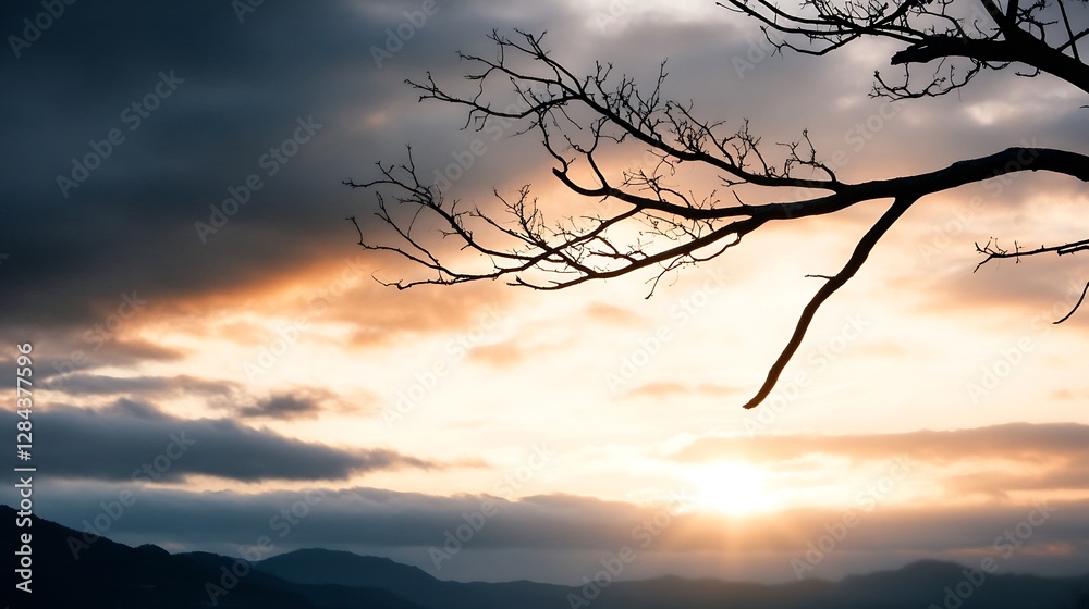 Poster stunning sunset view behind silhouetted branches and mountains creating a serene landscape atmospher
