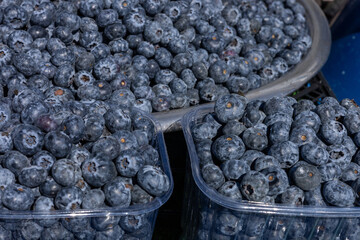 Fresh blueberries displayed at a local market during the summer season