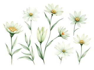 Delicate white floral composition with greenery