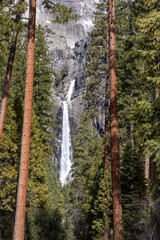 Lower Yosemite Falls framed by trees
