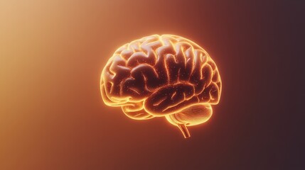 Fototapeta premium The glowing representation of a brain showcases intricate surface textures and details