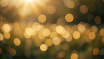 Fototapeta premium Golden bokeh sunrise nature photography outdoor close-up serenity