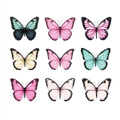 Nine butterflies are arranged in a grid formation, each displaying unique colors and intricate patterns. The butterflies demonstrate shades of blue, pink, and yellow against a white backdrop