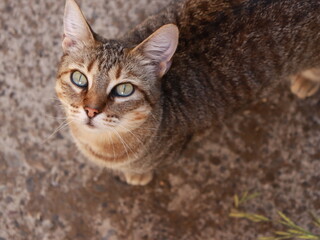 Mirada profunda