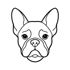 french bulldog head
