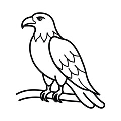 the eagle is sitting on a branch