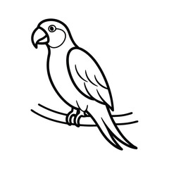 the parrot is sitting on a branch