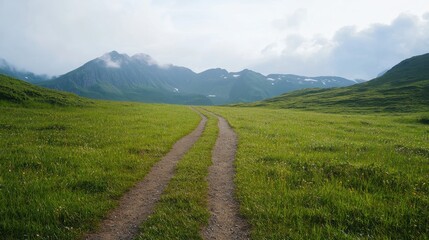 Scenic Pathway Through Lush Green Meadow Leading to Majestic Mountains in Bright Daylight