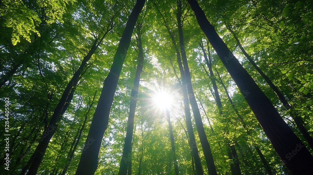 Poster sunlight gleaming through the vibrant green leaves in a dense forest during a bright sunny day : gen