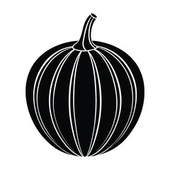 vector illustration of acorn squash