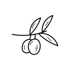 Olive branch Vector icon