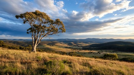 Obraz premium Serene landscape of a grassy hill with a lone tree and distant mountains under a blue sky : Generative AI
