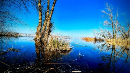 reservoir with trees and blue sky © Marcin