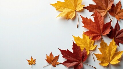 Fototapeta premium Autumnal foliage arrangement with vibrant maple leaves on a pale background, showcasing the beauty of fall colors and nature's artistry.