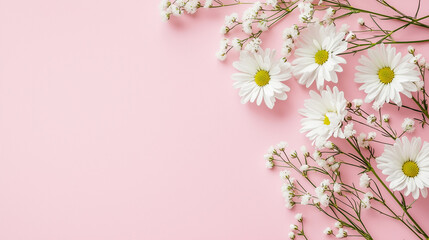 Elegant White Flowers on Pastel Pink Background for Special Occasions