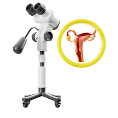 Colposcopy test woman. 3d illustration.