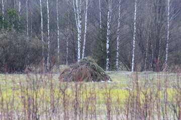 hunters' hut for grouse hunting