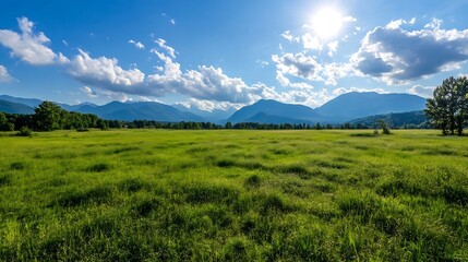 Obraz premium Expansive green meadow under a bright sun with distant mountains and blue skies : Generative AI
