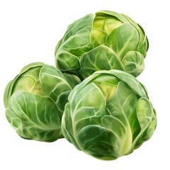 Obraz premium Green brussels sprouts isolated on transparent background