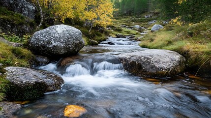 Fototapeta premium Tranquil stream flowing through a picturesque landscape with colorful autumn foliage and smooth rocks : Generative AI
