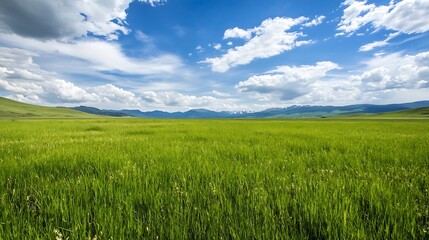 Fototapeta premium Vast green landscape under a bright blue sky showcasing the beauty of nature and tranquility : Generative AI