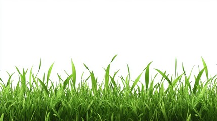 Fototapeta premium Vibrant green grass with fresh blades swaying gently in the breeze against a bright white background.