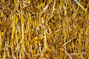 Yellow wheat straw background, straw structure and natural texture