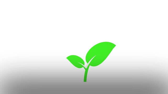green sprout growing from the ground. 4k plant animated growing icon. green leaf growing from a tree. green sprout growing from soil.