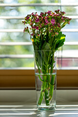 View of a bouquet of flowers standing in a glass vase, a bouquet of Kalanchoe