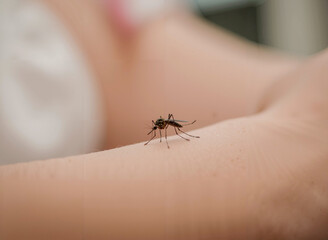 A Giraffe Sketch on Arm with a Mosquito Illustration