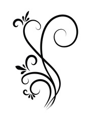 Black Swirling Flourish Design on White Background