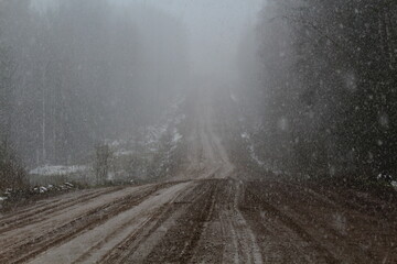 Dirt road in the forest during a snowfall in mid-spring