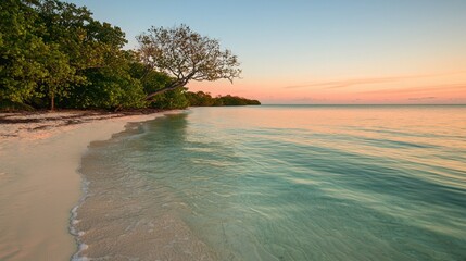 A serene beach unfolds under the warm glow of sunset, featuring gentle waves and vibrant vegetation lining the shore. The atmosphere exudes calm and natural beauty