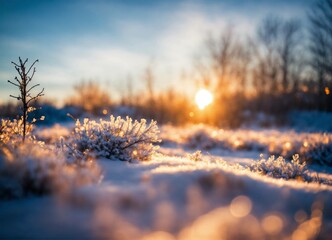 Winter sunset in the snow