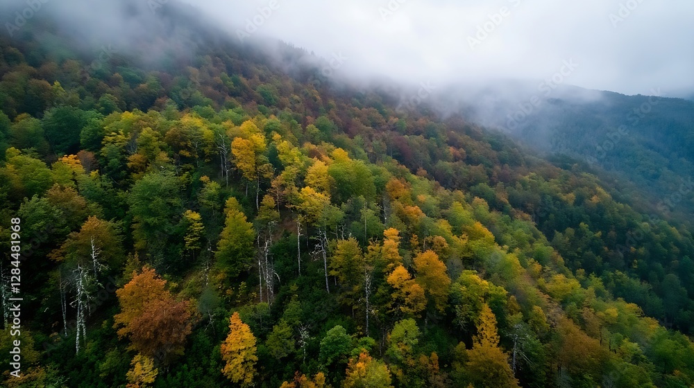 Poster aerial view of a vibrant autumn forest with colorful trees and mist in the mountains : generative ai