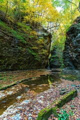 Wasserfälle im Watkins Glen State Park