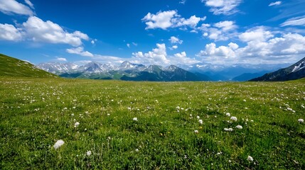 Expansive green meadow under a bright blue sky with fluffy clouds in a mountainous region : Generative AI