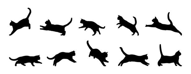 Set of vector collection of cat silhouettes isolated on a white background.