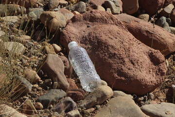 Plastic Bottle Lying on Ground