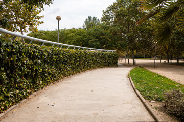 morning in city park, bright sunlight and shadows, , beautiful landscape