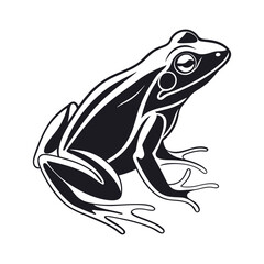 A minimalist frog with white background
