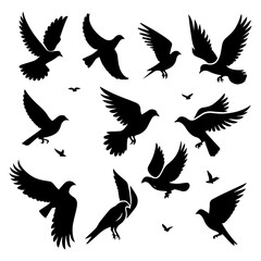silhouettes of the bird collection