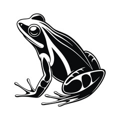 A minimalist frog with white background
